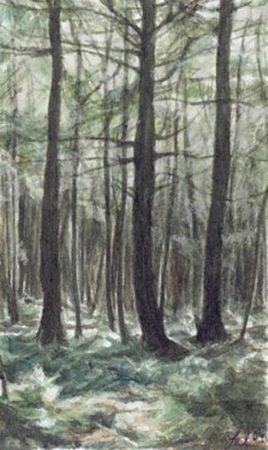 Three - Framed Watercolor