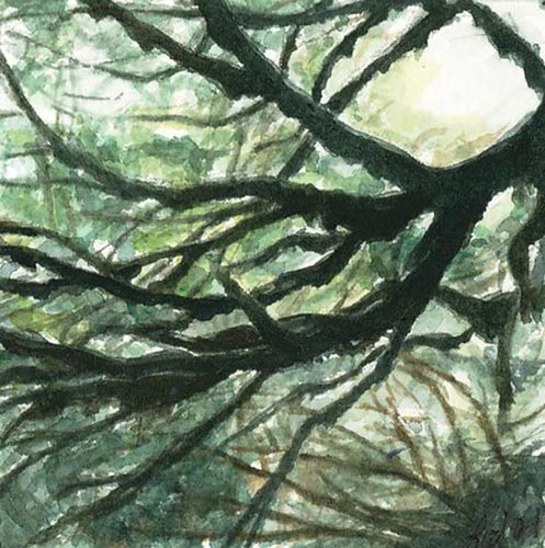 Tangled Web - Framed Watercolor