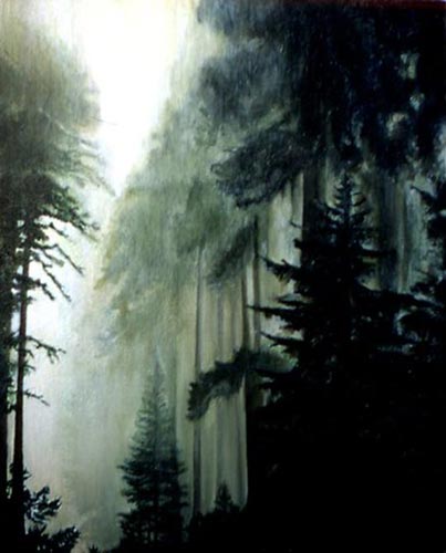 Crying Redwoods - Framed Oil On Canvas