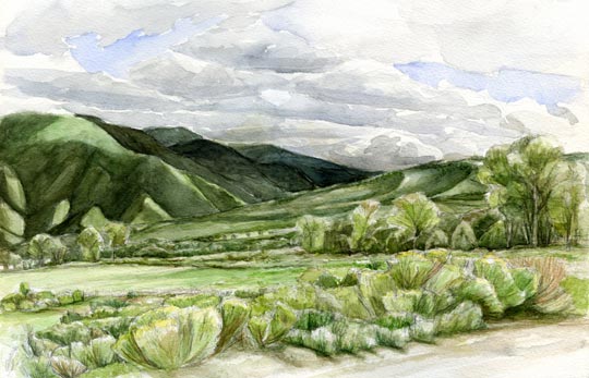 Forbes Trinchera Ranch - Watercolor